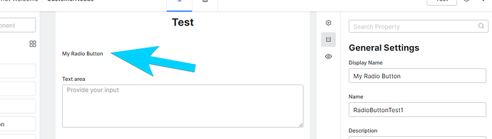 A radio button component on a Kore form. There's no circle next to the label.